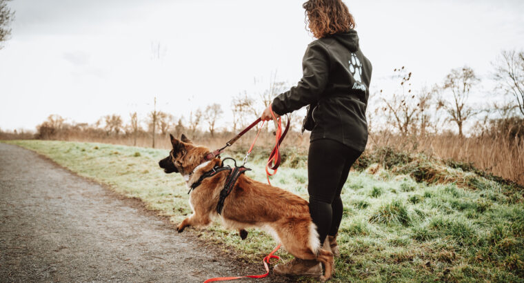 Séance individuelle rééducation